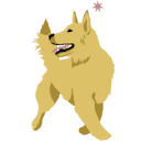 dogwise.dk