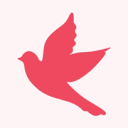 dovecasino.com