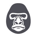 dvs.co.nz
