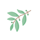 easygreek.co.uk