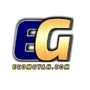 ecomgyan.com