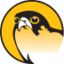 falconsafaris.com