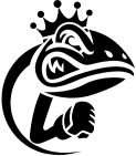 fightgecko.com