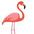flamingorides.com