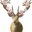 floralfawna.com