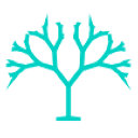 fractallabs.dev