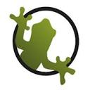 frog.ee