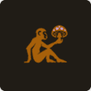 fungiape.com