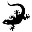 geckoman.co.uk