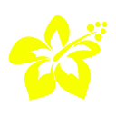 hannes-hawaii-shop.de