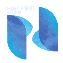 hasoftnet.com