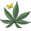 hempfy.com