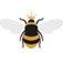 honeycombcare.co.uk
