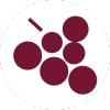 howtodrinkwine.com