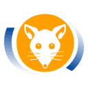 humanepossumremovalbrisbane.com.au