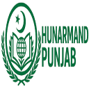 hunarmandpunjab.pk