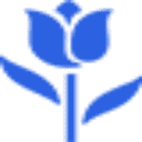 internetflorist.biz