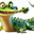 ivy.ciibo.com