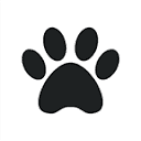 lazydogz.co.uk