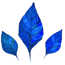 leadsworker.com