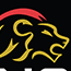 lionssports.academy