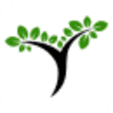 lushsprig.com