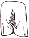 lydiareeves.com