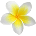 maevakayak.com