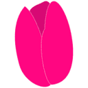 magenta.at