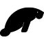 manateeacademy.com