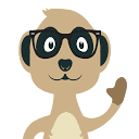 meerkat.co.za