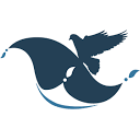 metalpigeon.com