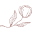 midronepro.com