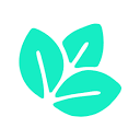mintservers.com