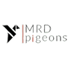 mrdpigeons.com