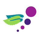 mulberrytravel.com