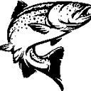 norwegiansalmon.com