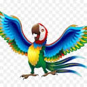 novanbirds.com