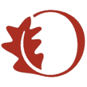 oakgrovelodges.co.uk