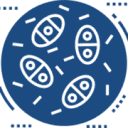 onpeptides.com