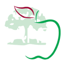 orchardvets.co.uk
