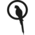orkneyparrots.com