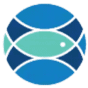 ovusmedical.com