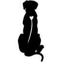 paleoridgeraw.uk