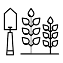 patchplants.com