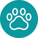 pawsonality.co.uk