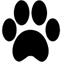 pawz.com