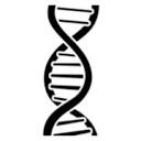 peptide-supplies.com