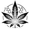 phytolabmn.com