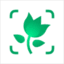 picturethisai.com